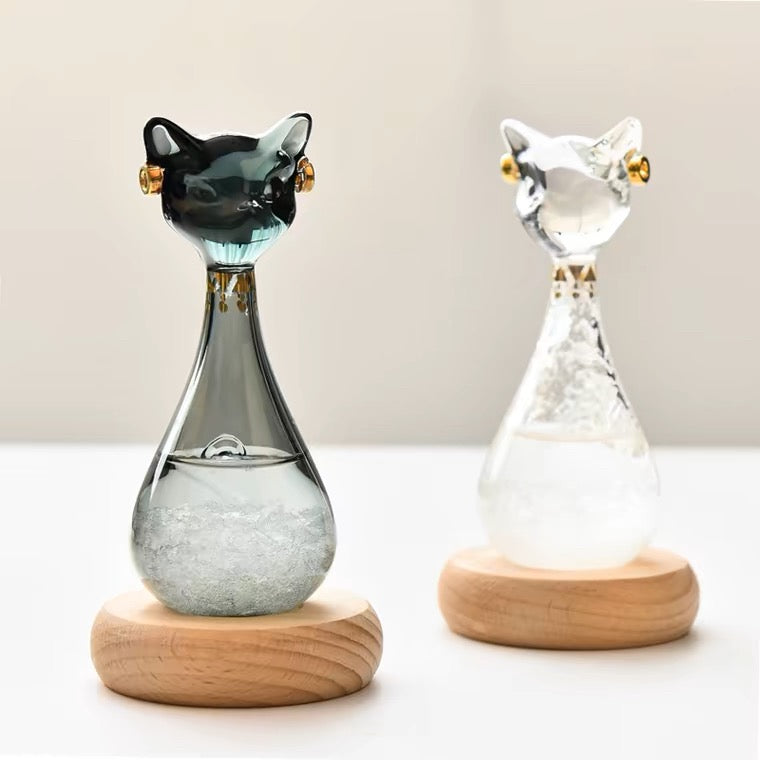 Weather Perception Cat (Black) - Koki Gifts and Homeware